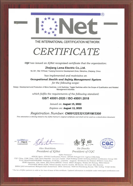 ISO 45001 certificate