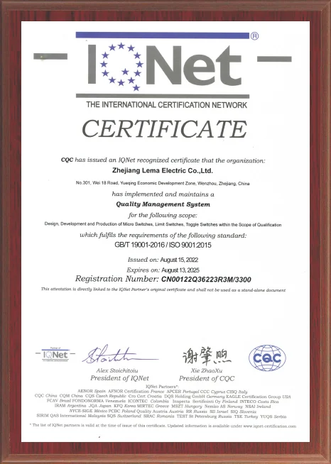 ISO 9001