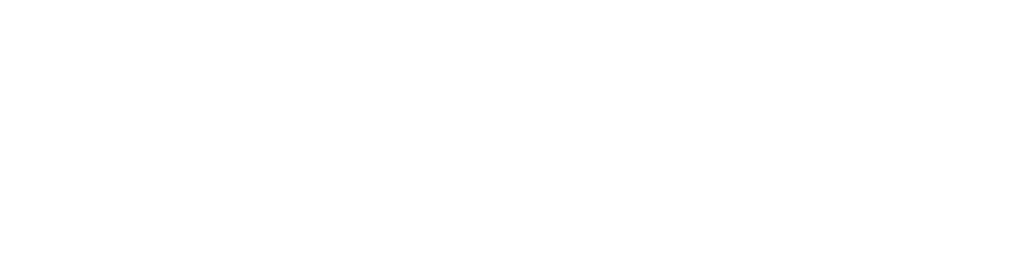 LEMA Electric
