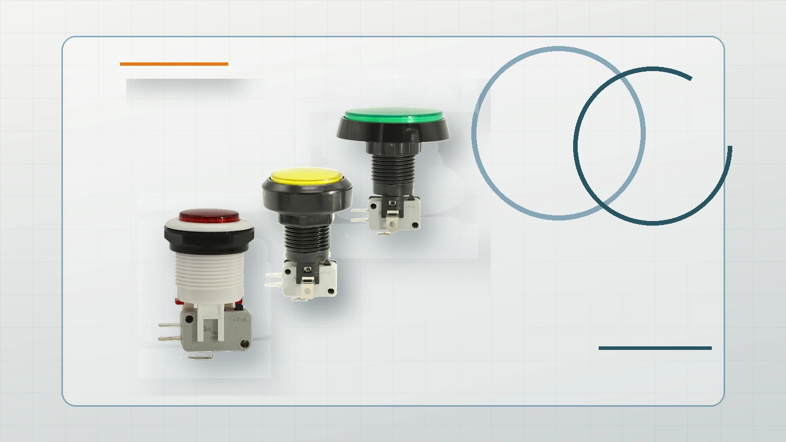 LEMA Push Button Switch inspection view