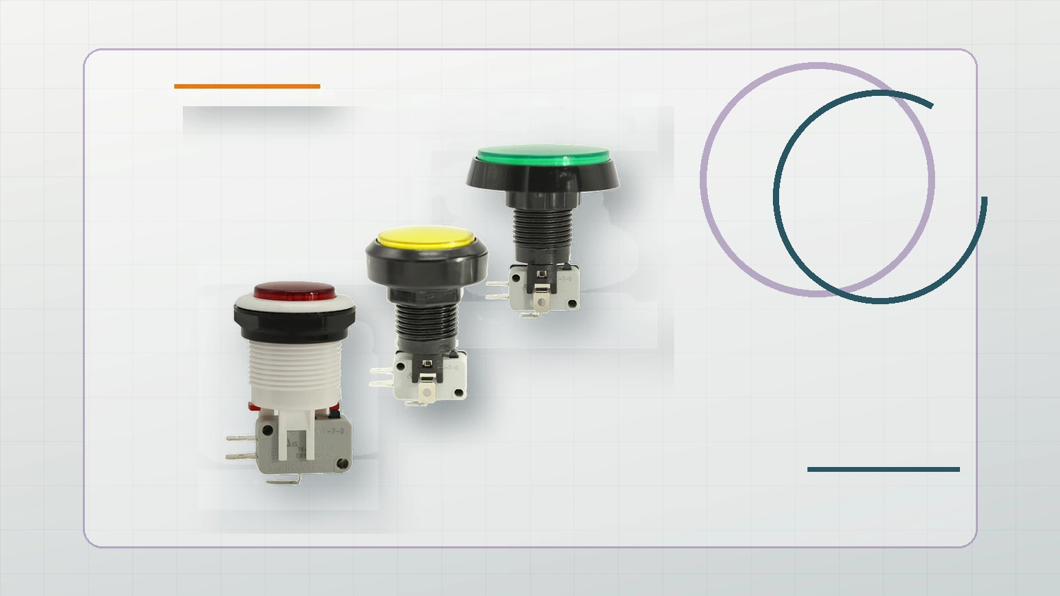 LEMA Push Button Switch inspection view