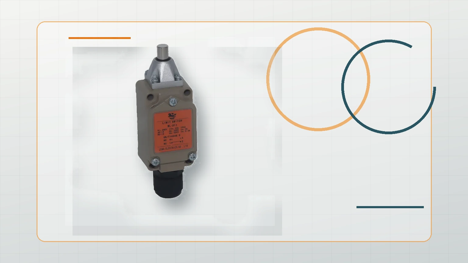 LEMA Limit Switch inspection view