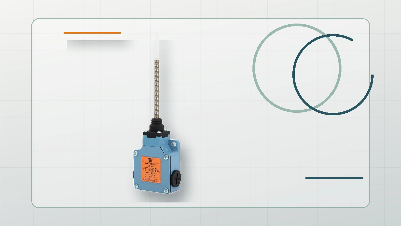 LEMA Limit Switch inspection view