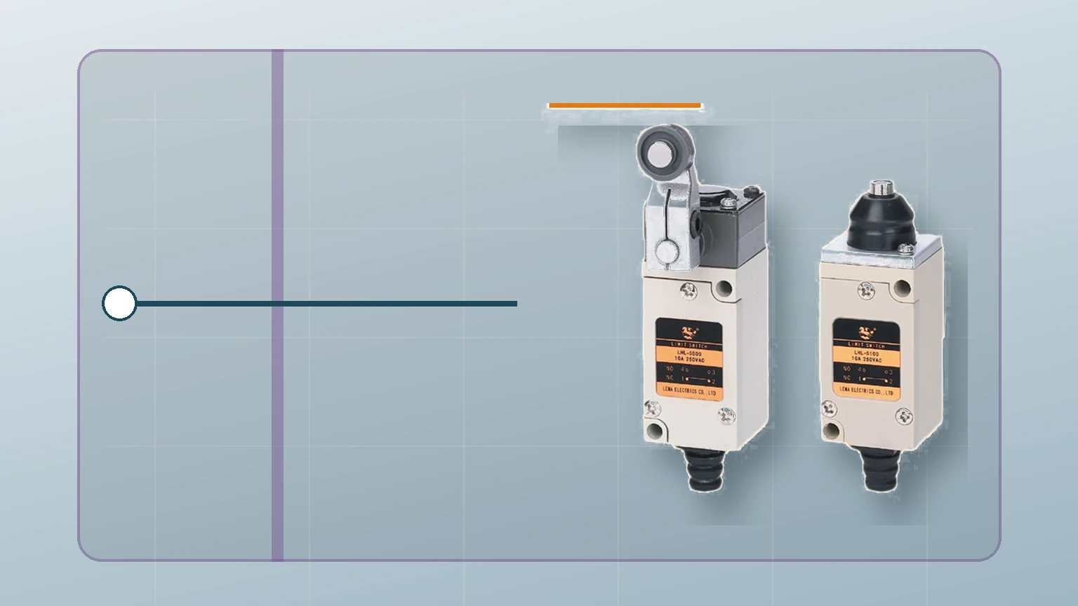 How to Wire a Limit Switch to a PLC Input 1 LEMA mechanical limit switches shown as product references for PLC position-input wiring