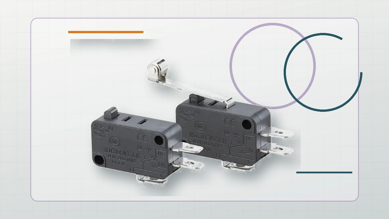 Micro Switch Operating Force: How to Match Force and Travel 2 LEMA Micro Switch inspection view
