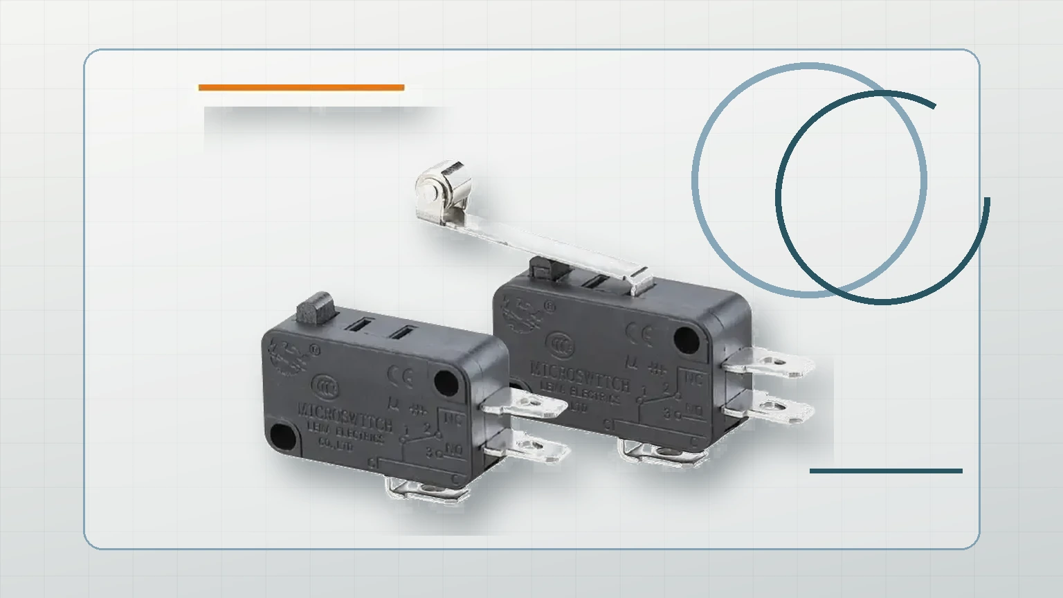 LEMA Micro Switch inspection view