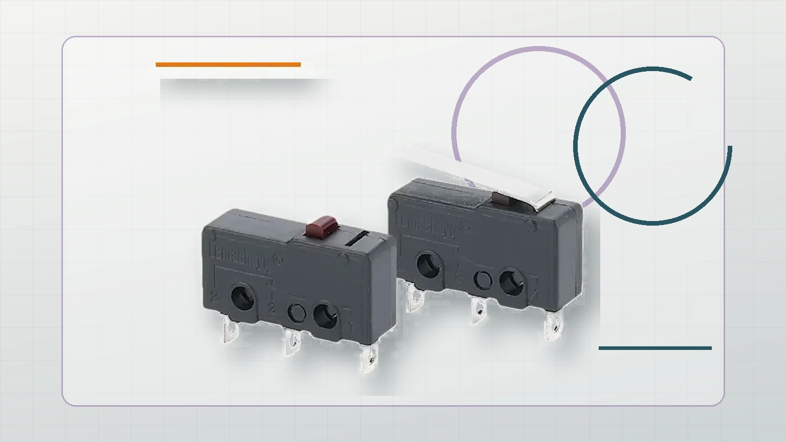 LEMA Micro Switch inspection view