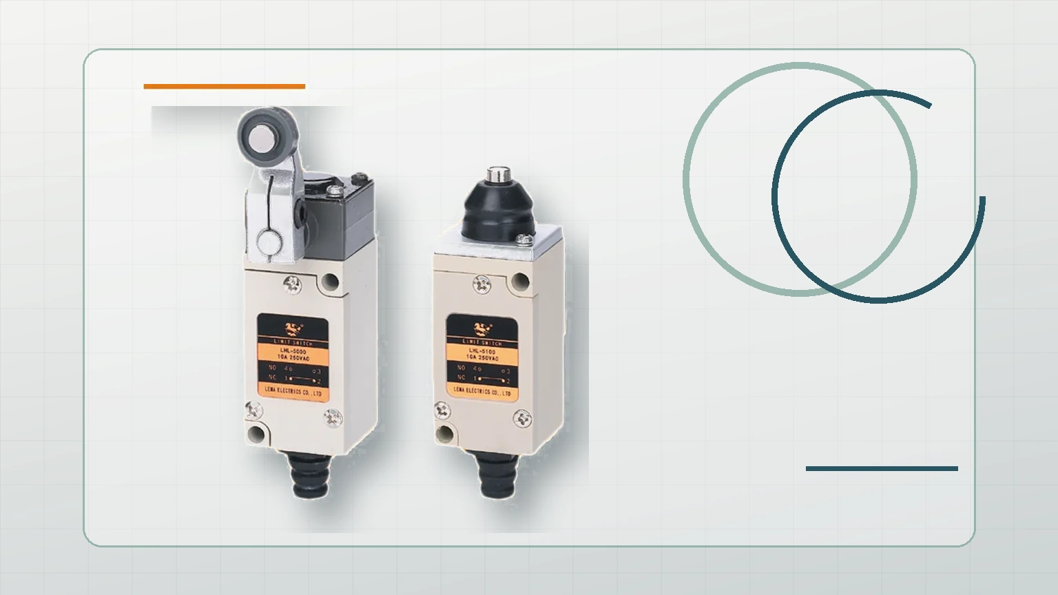 LEMA Limit Switch inspection view