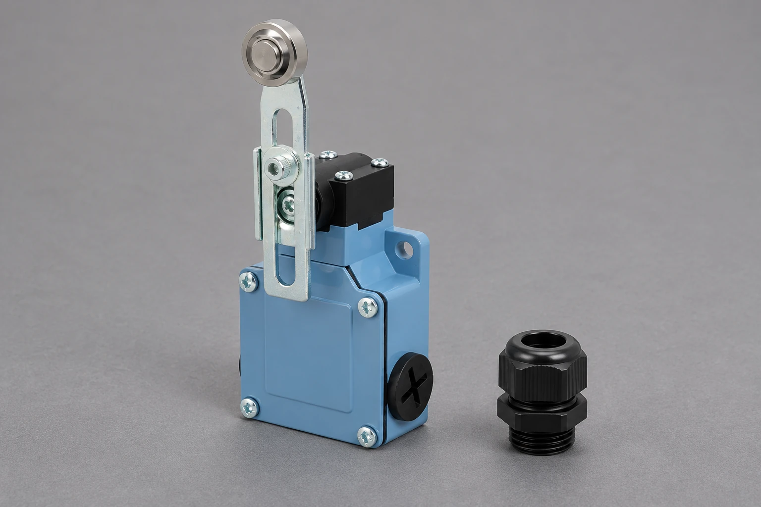 LZ1 limit switch beside a separate cable gland for entry planning