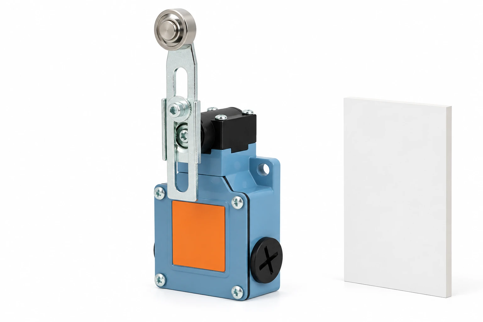 Limit Switch Paint Overspray Protection: Keep Motion and Identification Clear 1 LZ1 roller lever and black head beside a separate white panel offcut