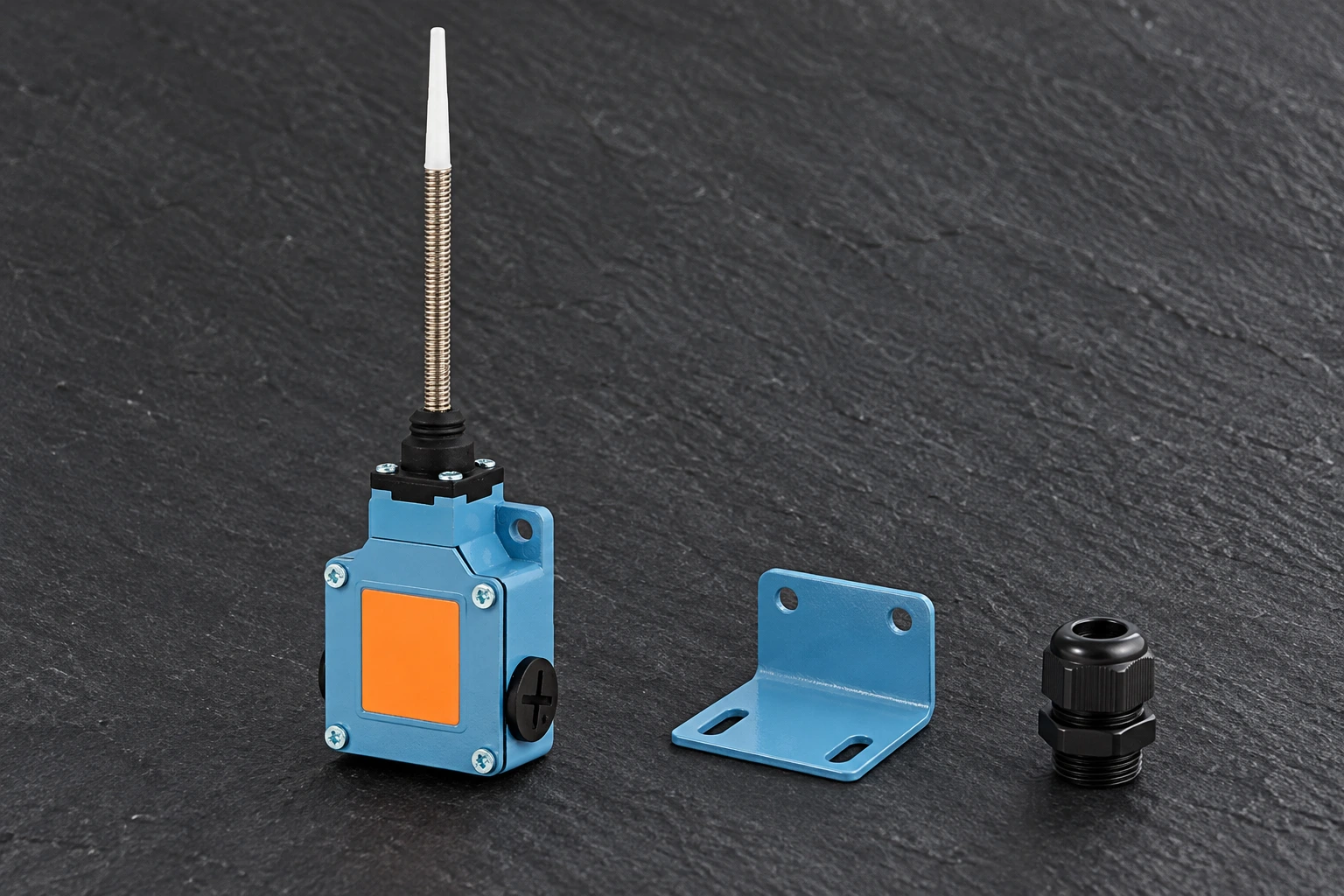 LZ1 metal-body switch beside separate mounting and entry hardware LZ1 metal-body switch beside separate mounting and entry hardware